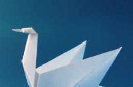 Модульное оригами двойной лебедь